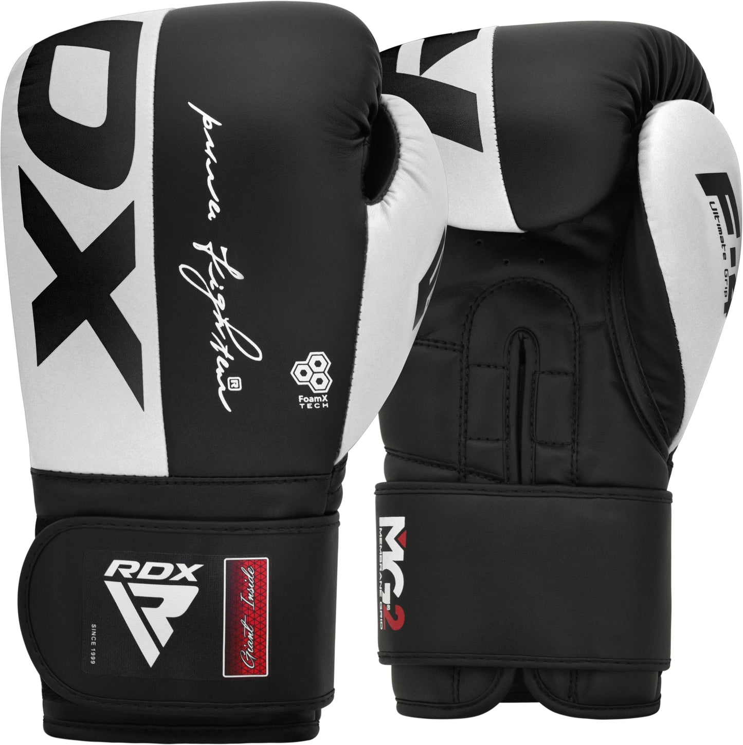 Gants de boxe BGR-F4R
