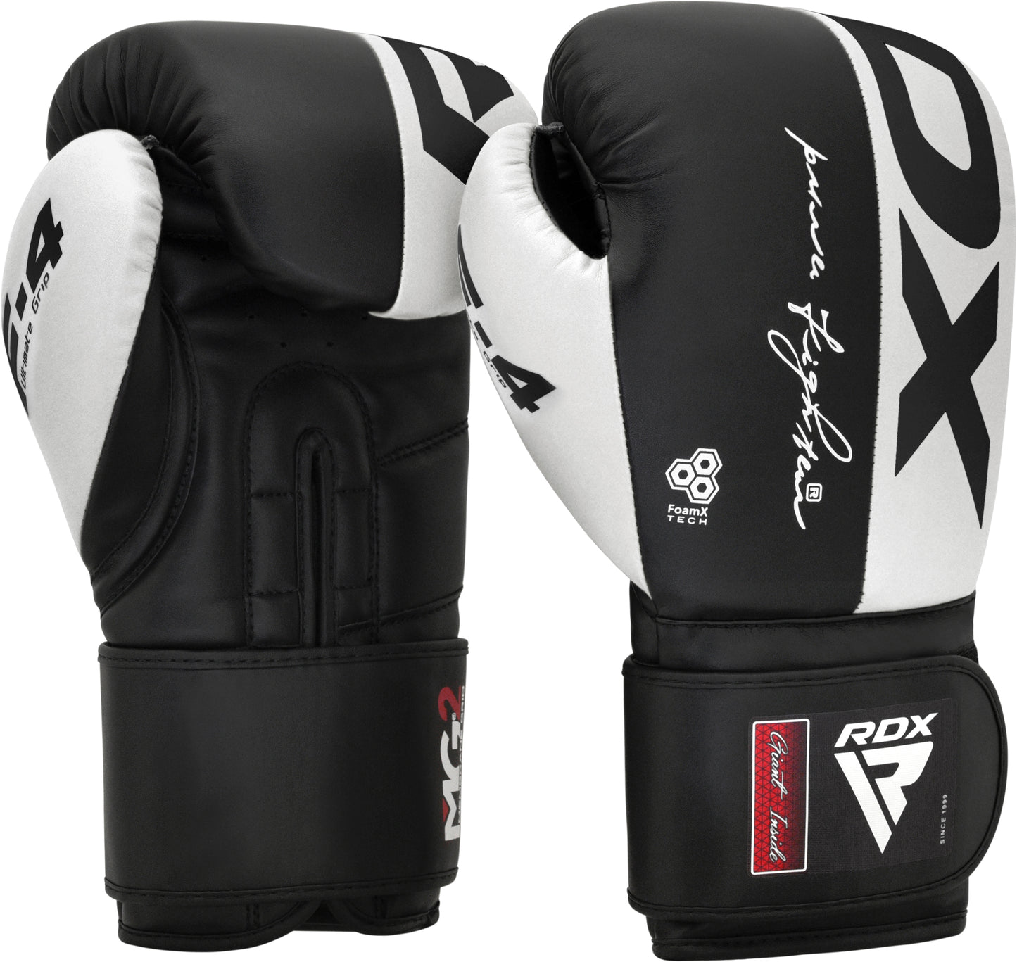 Gants de boxe BGR-F4R