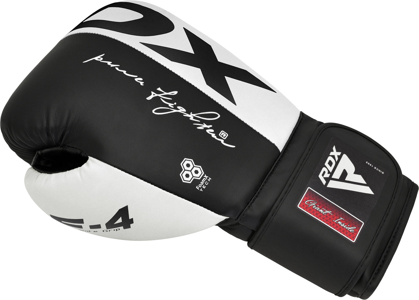 Gants de boxe BGR-F4R