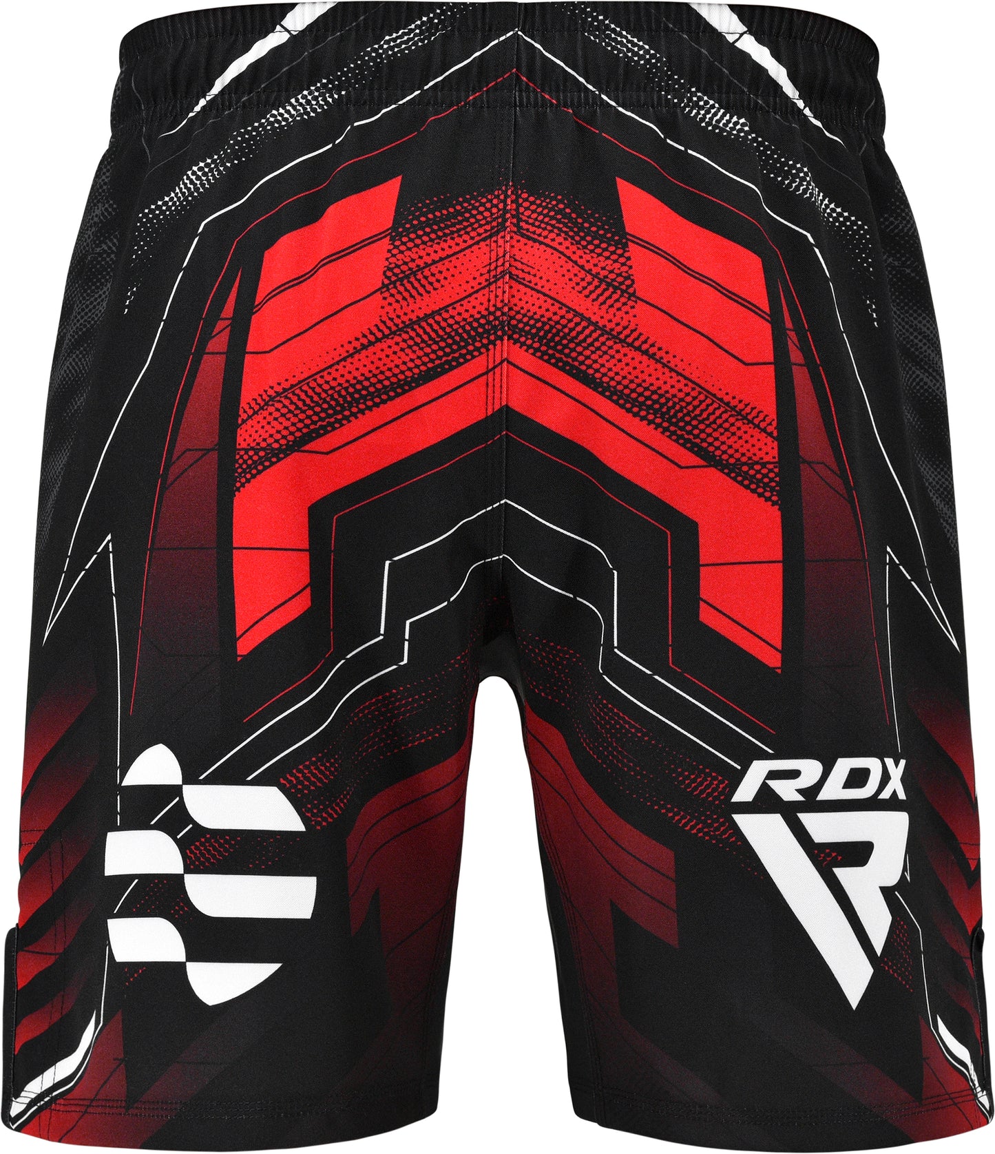 Short MMA RDX IMMAF — Compétition & Entraînement
